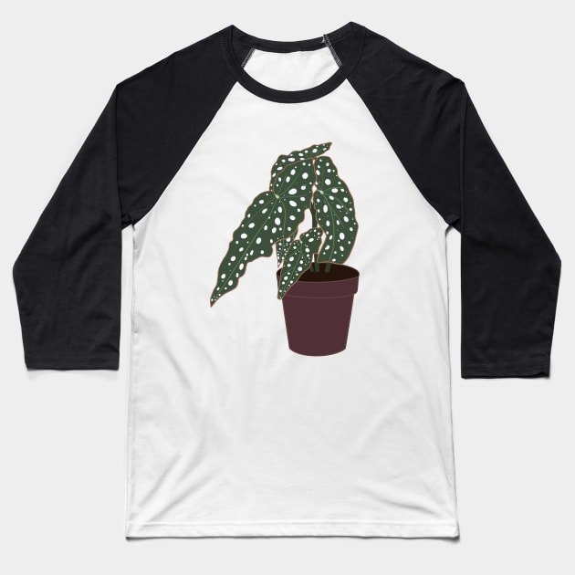 Begonia Maculata Plant – Purple Pot Baseball T-Shirt by Raquel’s Room